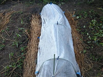 �h���l�b�g�@�����