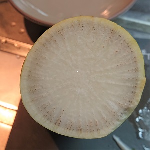 �_�C�R���o�[�e�B�V���E�����_�a