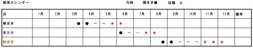 �卪�@�͔|�J�����_�[