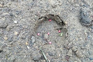 �卪�@��܂�