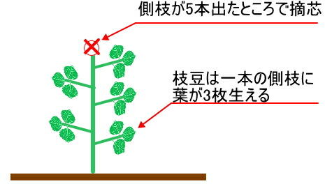 �}���̓E�c