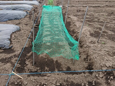 ���@��Q�@�΍�