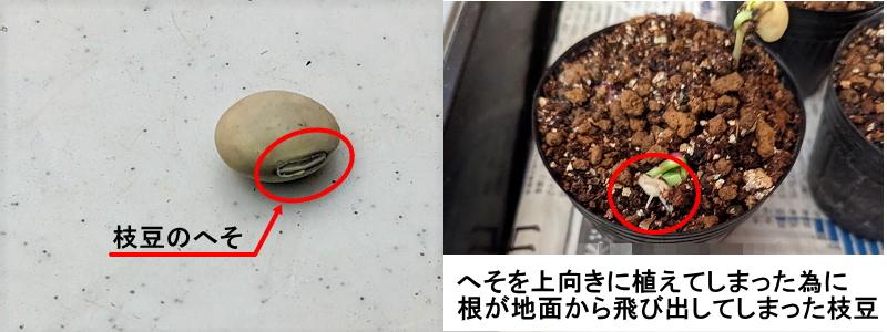 �}���@��@����