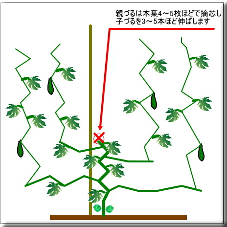 �S�[���@�E�c�@�ƒ�؉�