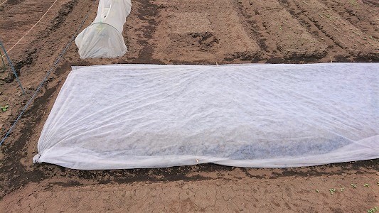 �ق���񑐁@�����@��܂��@�����