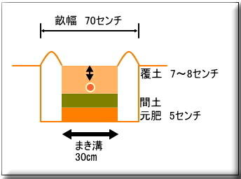 ���Ⴊ�����@�W���K�C���@�͔|�@�엿