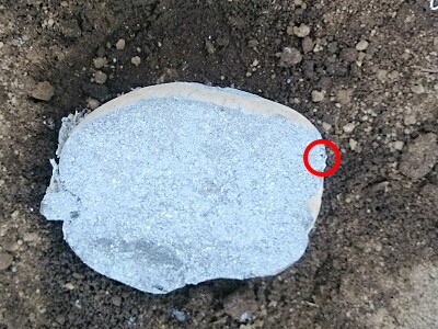 ���Ⴊ�����@�͔|�@��o��