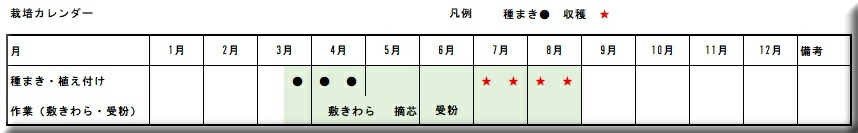 �J�{�`���@�͔|����