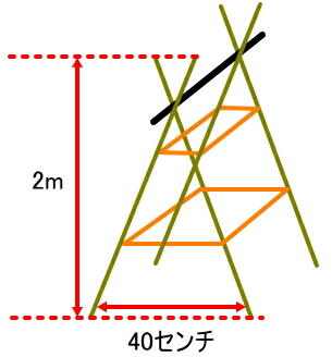 �L���E���̎x�����ĕ��@��{����