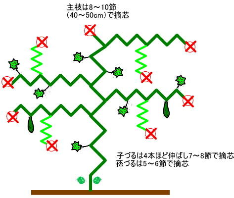 �L���E���@����@�n������