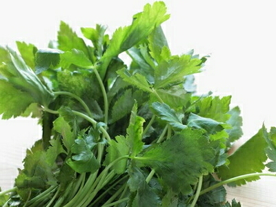 �O�t�@�ƒ�؉�