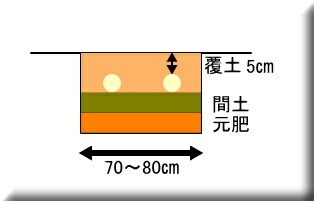 �݂傤���@�~���E�K�@�͔|���@�@��ĕ�