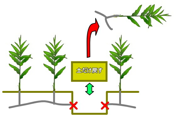 �~���E�K�@�݂傤���@�A���ւ�