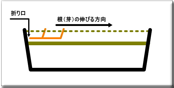 �~���E�K�@�݂傤���@�v�����^�[�@�A���ւ�