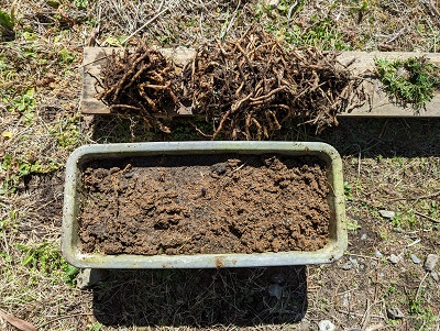 �ƒ�؉��@�~���E�K�@�v�����^�[