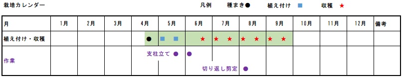 �i�X�͔|�@�����@����