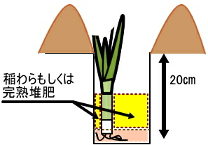 �l�M�@�͔|�@�A���ւ�