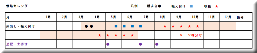 �j���@�͔|��@�����@�X�P�W���[��