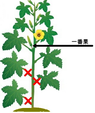 �I�N���@�͔|�@�E�t