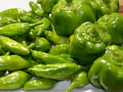 �s�[�}���@�͔|�@��ĕ��@�g�E�K���V�@