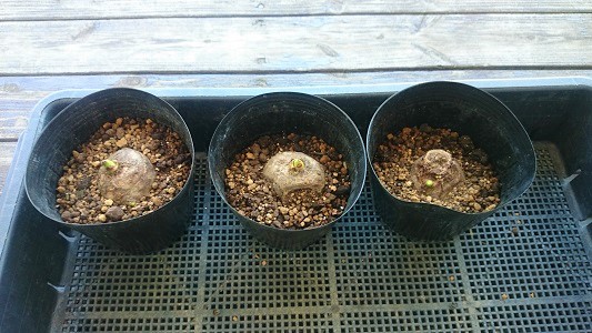 �����@��o��