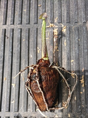 �����@��o��