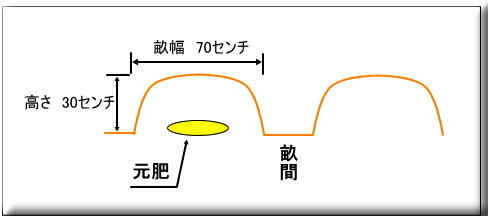 �T�c�}�C���@���܂����@�͔|�@�y���