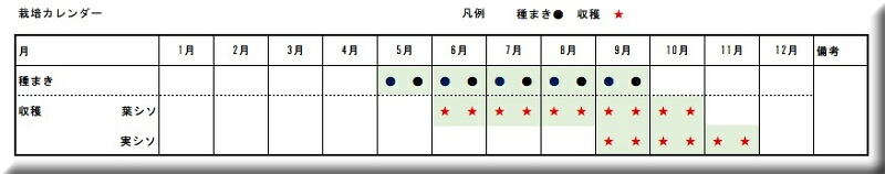 ���h�@�V�\�@�W�\�@�ԃV�\�@��܂�