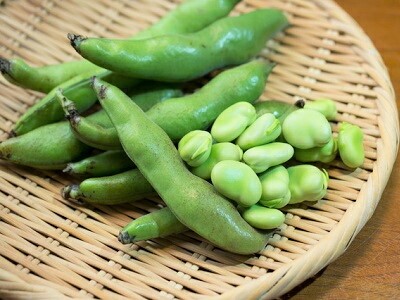 ���瓤�@�͔|