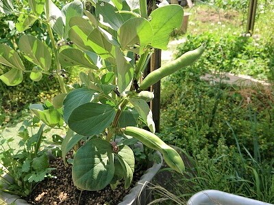 ���瓤�@���n