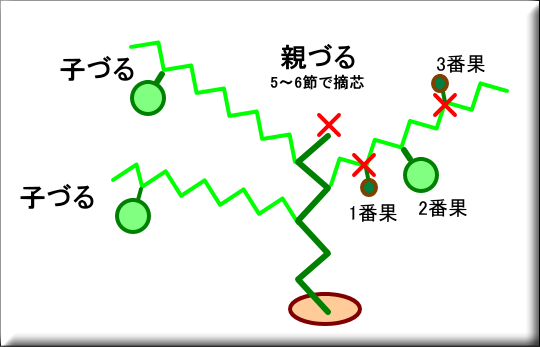 �X�C�J�@�E�c�@����