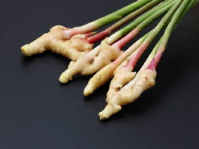 ���I�@�͔|