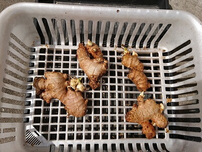 �V���E�K�@���I�@��o��