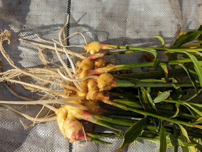 �ƒ�؉��@���I�@���n