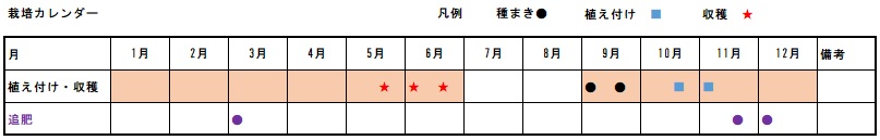 �ʂ˂��@�͔|�@����