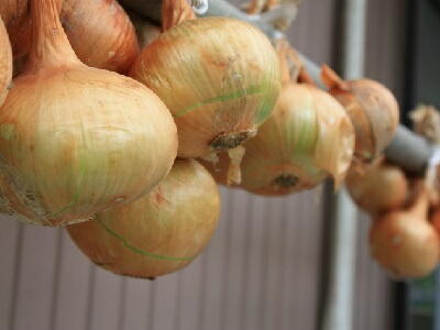 �ʂ˂��@�͔|