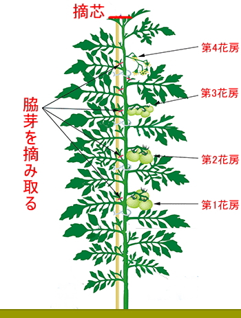 �g�}�g�@�e��