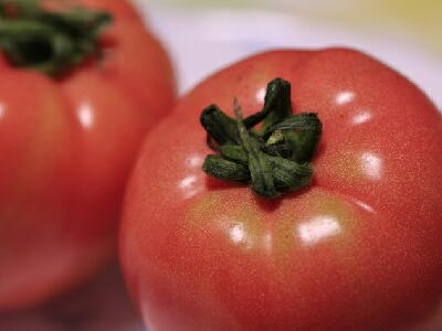 �ƒ�؉��@�g�}�g