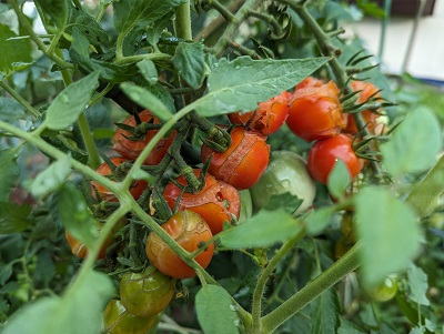 �g�}�g�@���������