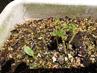 �ƒ�؉��@�ΊD�@��