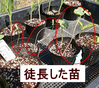 �k���@���