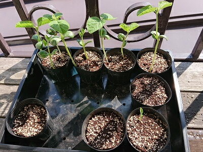 �c�@��؁@�k��