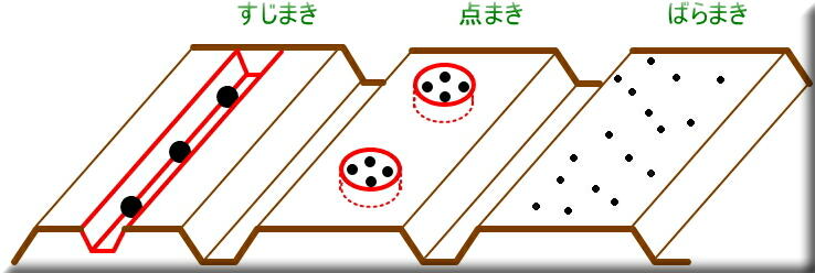 ��̎T����