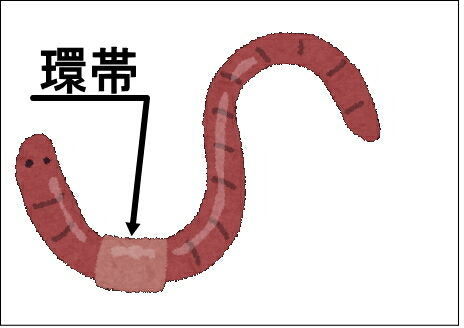 �ƒ�؉��@�~�~�Y�@�y���