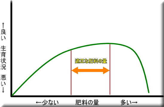 �엿�̊���