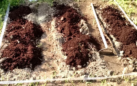 �ƒ�؉��̔엿