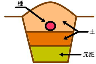 ��p�̂���