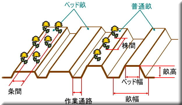 �ƒ�؉��@��