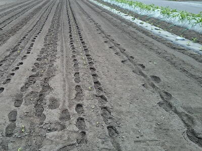 �ƒ�؉��@�����